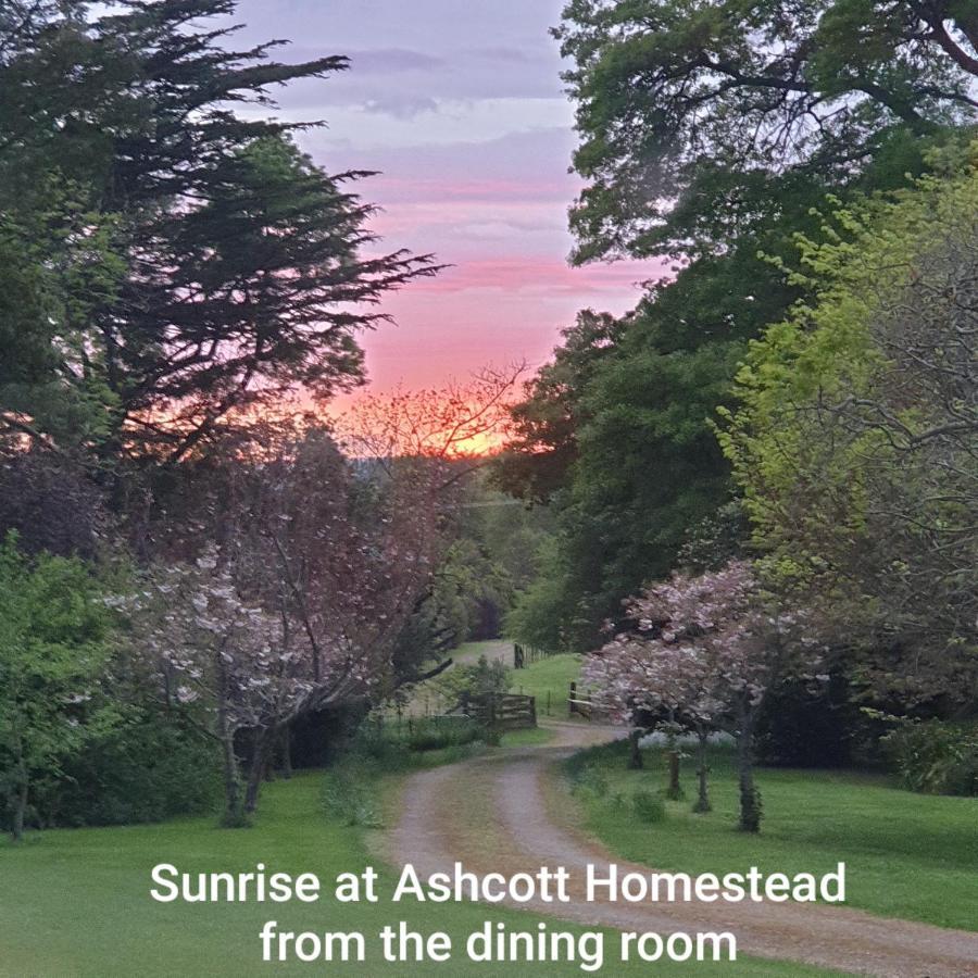 Ashcott Homestead Bed & Breakfast Takapau Zewnętrze zdjęcie