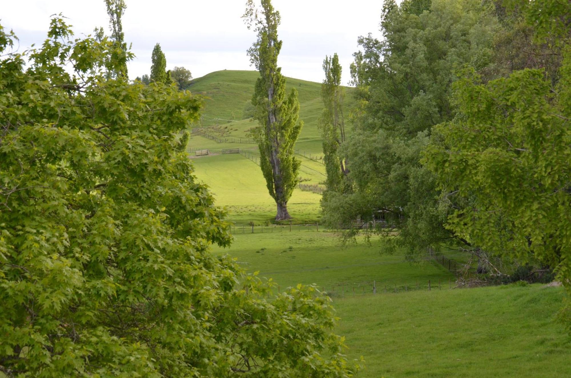 Ashcott Homestead Bed & Breakfast Takapau Zewnętrze zdjęcie